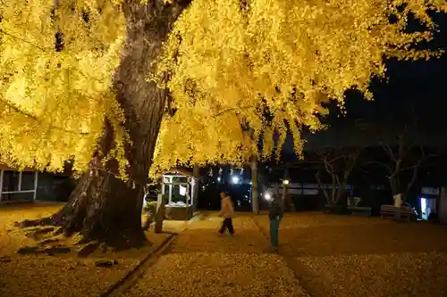 丹生酒殿神社の自然