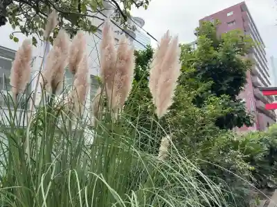 成子天神社(東京都)