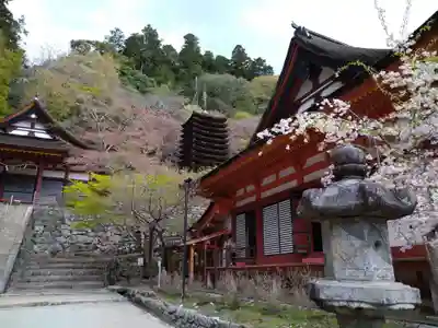 談山神社(奈良県)