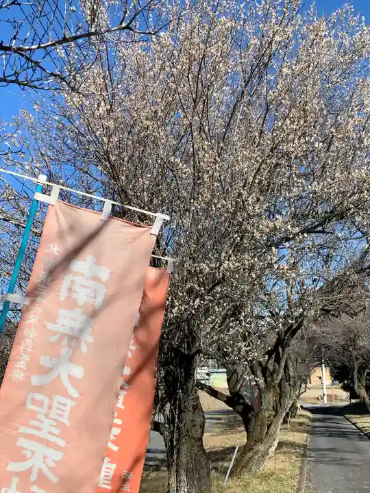 華藏寺(梅澤不動尊) の周辺