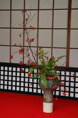 大覚寺(京都府)