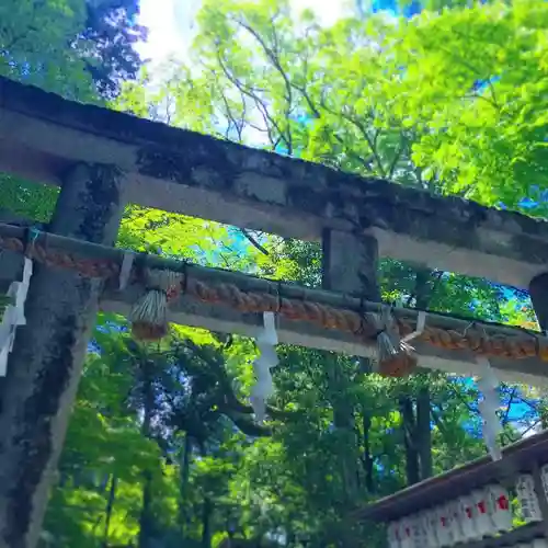 長岡天満宮の鳥居