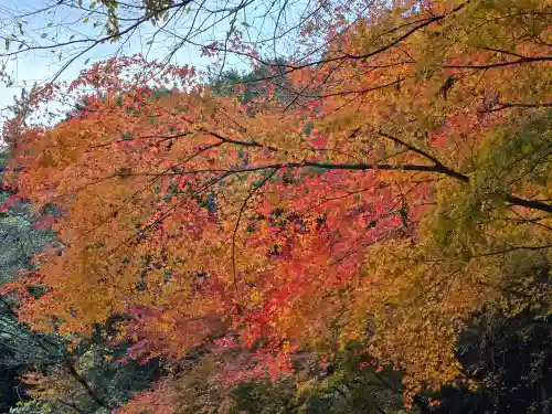 大本山七宝瀧寺(大阪府)