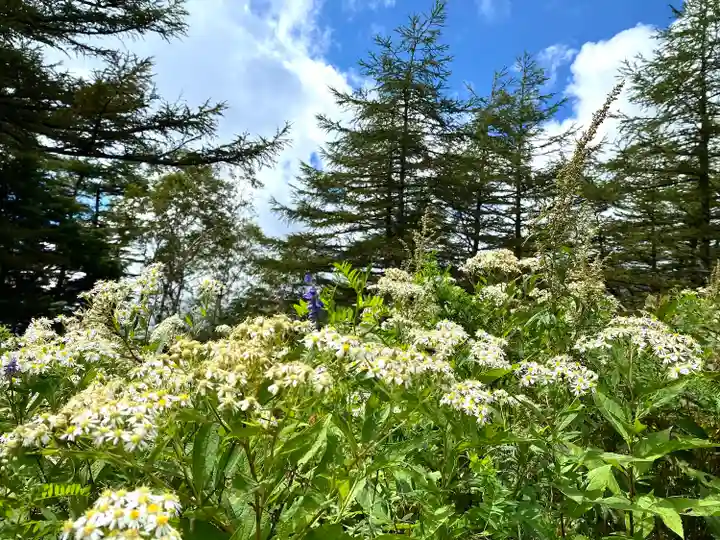 山の神神社の自然