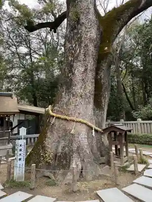 伊弉諾神宮(兵庫県)