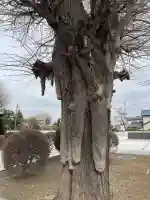 日乗院の{uncategorized: "未分類", other: "その他", undefined: "問題あり", building: "その他建物", grave: "お墓", sacred_gate: "鳥居", guardian: "狛犬", statue: "像", buddha: "仏像", history: "歴史", nature: "自然", garden: "庭園", animal: "動物", pagoda: "塔", temizu: "手水舎", mountain_gate: "山門・神門", sanctuary: "本殿・本堂", subordinate: "末社・摂社", art: "芸術", scenery: "景色", jizo: "地蔵", ema: "絵馬", goshuin: "御朱印", omikuji: "おみくじ", items: "授与品その他", amulet: "お守り", goshuincho: "御朱印帳", eats: "食事", festival: "お祭り", votive_dance: "神楽", shichigosan: "七五三参", wedding: "結婚式", experience: "体験その他", initially: "初詣", around: "周辺", anti_infection: "感染症対策"}