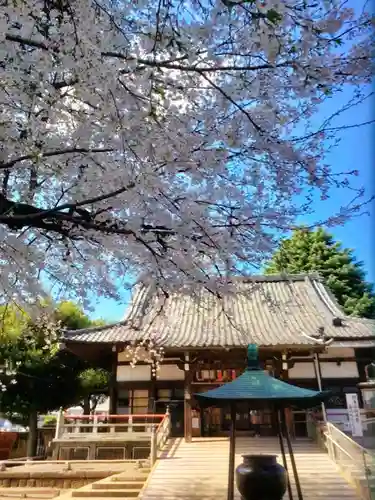 新井薬師（梅照院）(東京都)