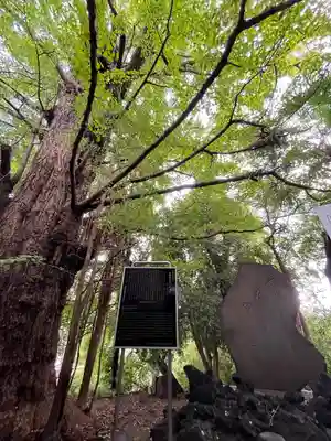 王子神社(東京都)