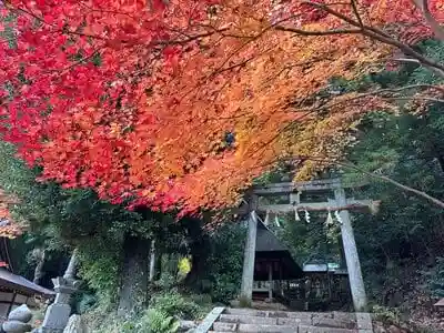 多吉神社の鳥居