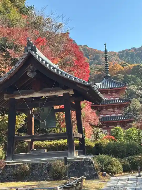 三室戸寺(京都府)