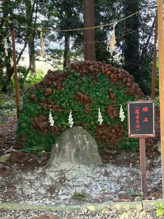下野 星宮神社(栃木県)