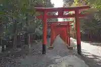 南宮稲荷大明神の鳥居