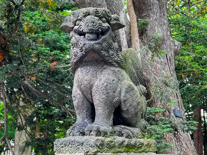 深川神社の狛犬