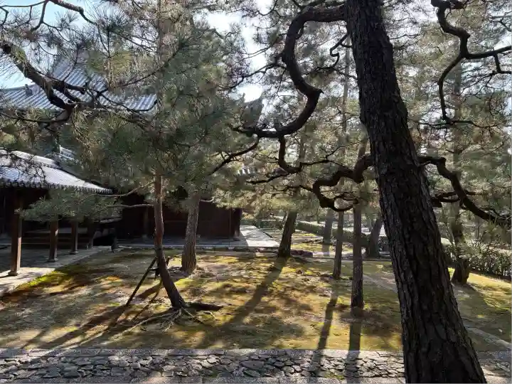 大徳寺(京都府)