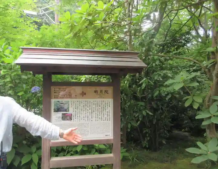 明月院(神奈川県)