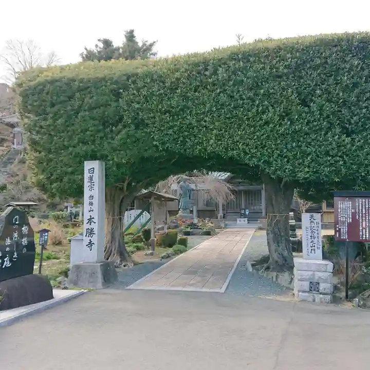 本勝寺の山門・神門