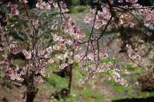 荒井馬頭観音堂の景色