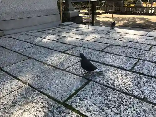 亀山八幡宮(長崎県)