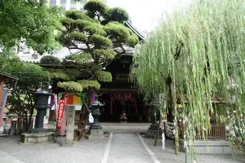 頂法寺（六角堂）の本殿・本堂