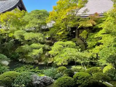 禅林寺(永観堂)(京都府)