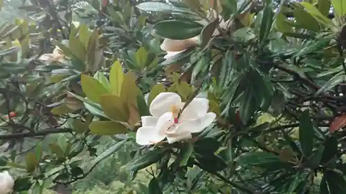 本立寺(静岡県)