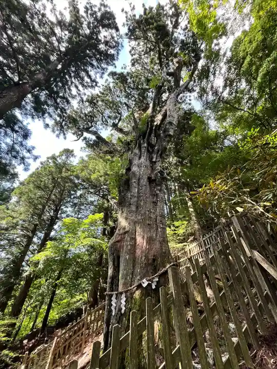 玉置神社(奈良県)