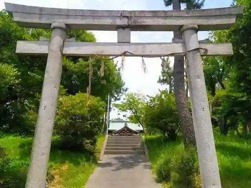 八幡社（江端八幡社）の鳥居