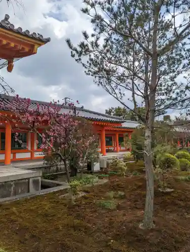 蓮華王院（三十三間堂）(京都府)