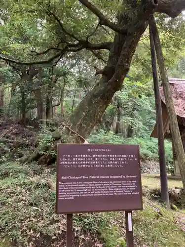 綱神社(栃木県)