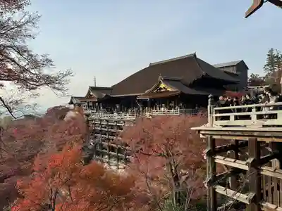 清水寺の本殿・本堂