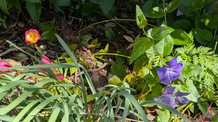 本昌寺(京都府)