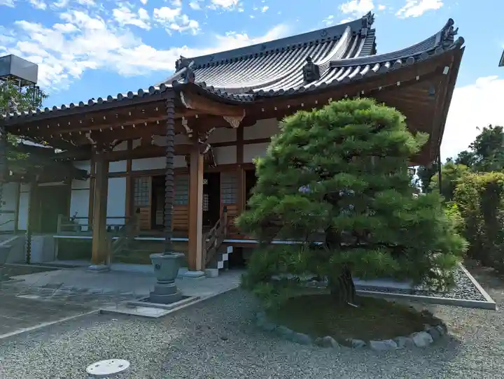 悟眞寺(悟真寺)(京都府)