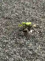 白山神社(福井県)