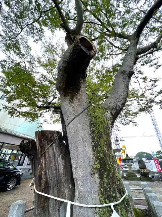 阿邪訶根神社の自然