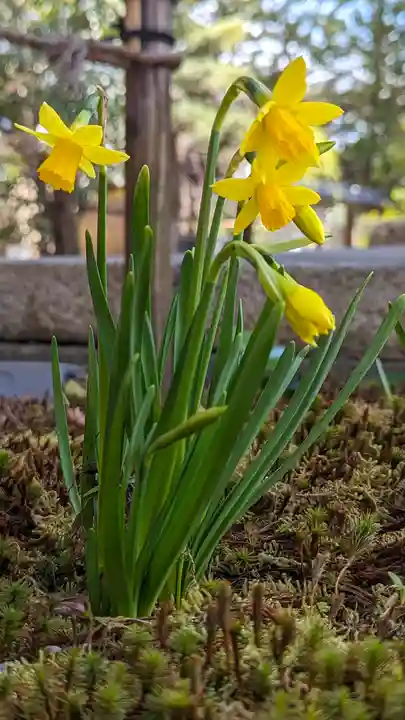 勝林寺(京都府)