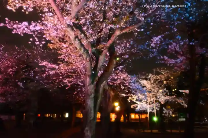 靖國神社(東京都)