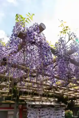 春日大社(奈良県)