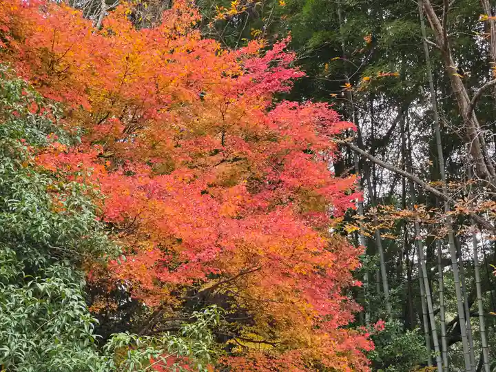 延命寺(大阪府)