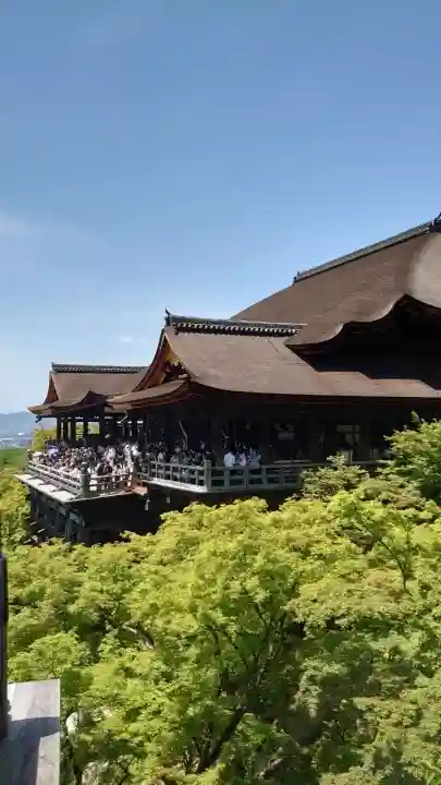 清水寺の{uncategorized: "未分類", other: "その他", undefined: "問題あり", building: "その他建物", grave: "お墓", sacred_gate: "鳥居", guardian: "狛犬", statue: "像", buddha: "仏像", history: "歴史", nature: "自然", garden: "庭園", animal: "動物", pagoda: "塔", temizu: "手水舎", mountain_gate: "山門・神門", sanctuary: "本殿・本堂", subordinate: "末社・摂社", art: "芸術", scenery: "景色", jizo: "地蔵", ema: "絵馬", goshuin: "御朱印", omikuji: "おみくじ", items: "授与品その他", amulet: "お守り", goshuincho: "御朱印帳", eats: "食事", festival: "お祭り", votive_dance: "神楽", shichigosan: "七五三参", wedding: "結婚式", experience: "体験その他", initially: "初詣", around: "周辺", anti_infection: "感染症対策"}