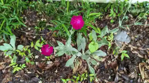 乗願寺(京都府)
