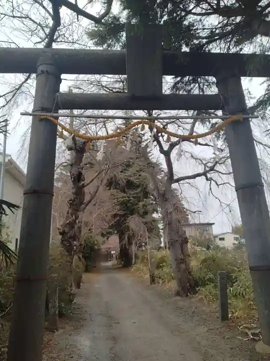 多賀神社(宮城県)