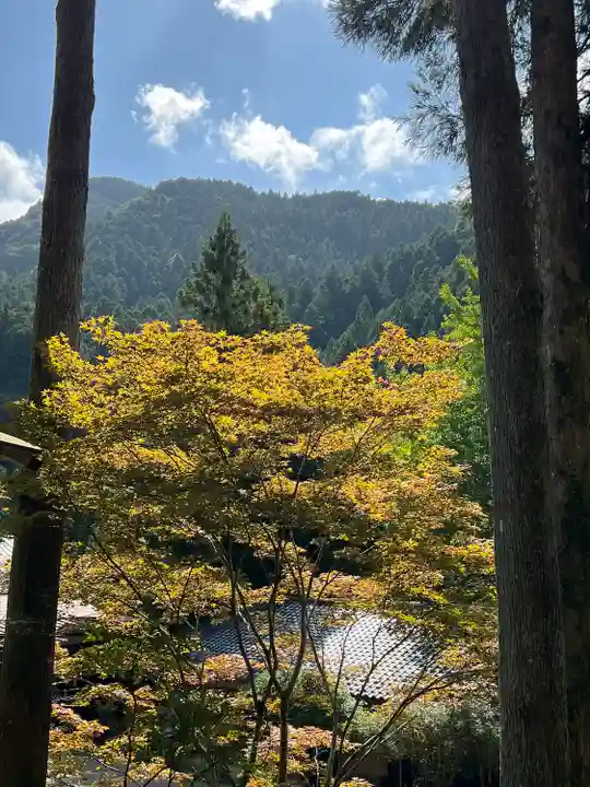 橋立堂(埼玉県)