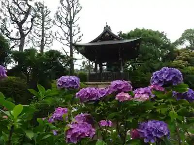 天台宗　長窪山　正覚寺(神奈川県)