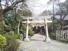 出雲大社相模分祠の鳥居