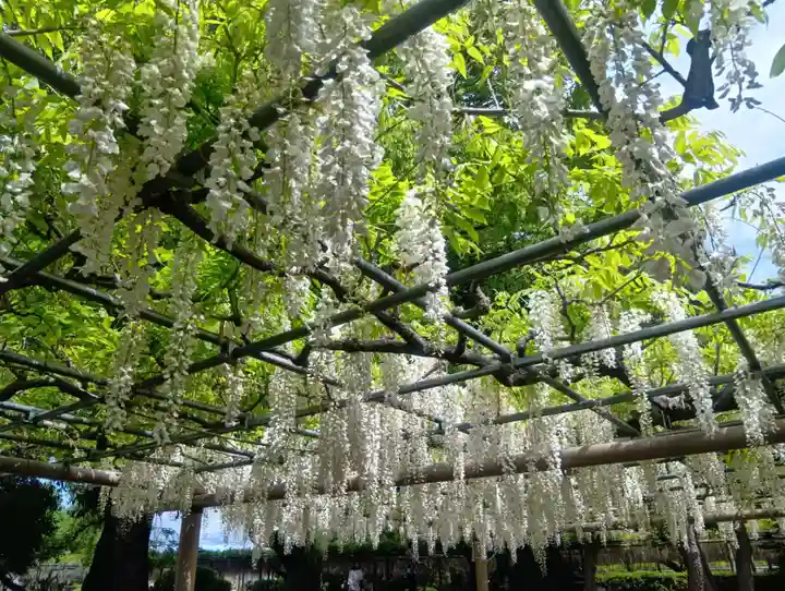 曼陀羅寺(愛知県)
