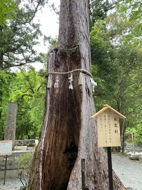 丹生川上神社(中社)(奈良県)
