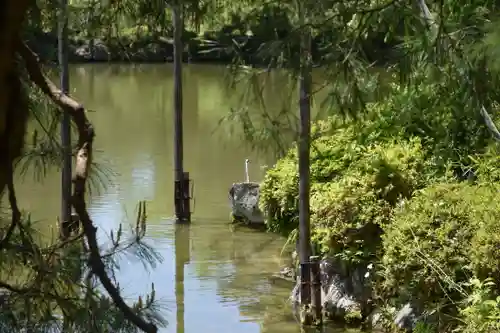 平安神宮の庭園