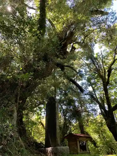 三上大明神の庭園