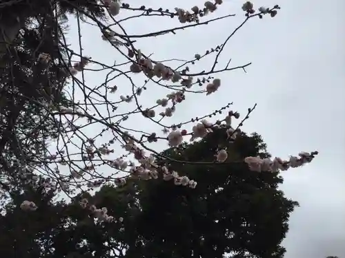 宮山神社の自然