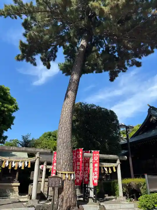 中野沼袋氷川神社の{uncategorized: "未分類", other: "その他", undefined: "問題あり", building: "その他建物", grave: "お墓", sacred_gate: "鳥居", guardian: "狛犬", statue: "像", buddha: "仏像", history: "歴史", nature: "自然", garden: "庭園", animal: "動物", pagoda: "塔", temizu: "手水舎", mountain_gate: "山門・神門", sanctuary: "本殿・本堂", subordinate: "末社・摂社", art: "芸術", scenery: "景色", jizo: "地蔵", ema: "絵馬", goshuin: "御朱印", omikuji: "おみくじ", items: "授与品その他", amulet: "お守り", goshuincho: "御朱印帳", eats: "食事", festival: "お祭り", votive_dance: "神楽", shichigosan: "七五三参", wedding: "結婚式", experience: "体験その他", initially: "初詣", around: "周辺", anti_infection: "感染症対策"}
